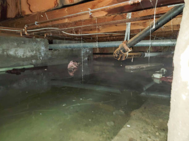  Elwood, UT Water damage restoration Pros