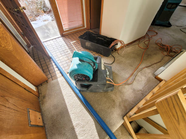 Best Carpet water damage restoration  in Elwood, UT