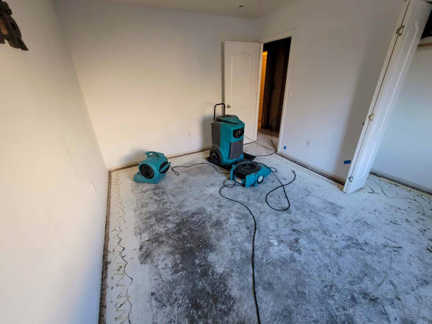Best Flood restoration services  in Elwood, UT