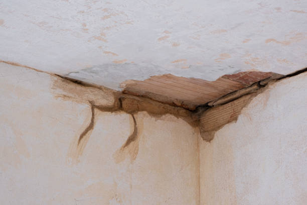 Best Ceiling water damage repair  in Elwood, UT