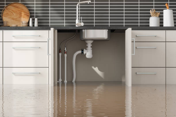 Best Flooded house restoration  in Elwood, UT