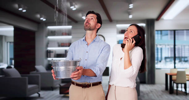 Best Water damage contractors near me  in Elwood, UT