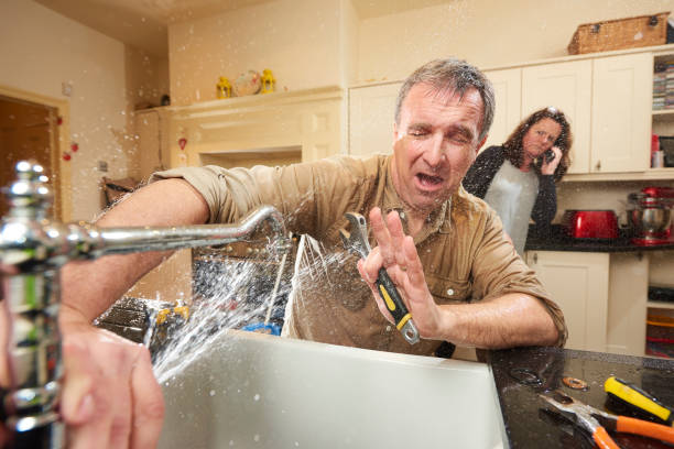Best 24-hour water damage restoration  in Elwood, UT